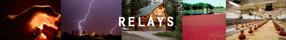 Relays Banner